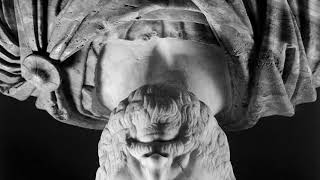 Aristotle's Denial (Pre-LaBoratory) ((AUDIO))