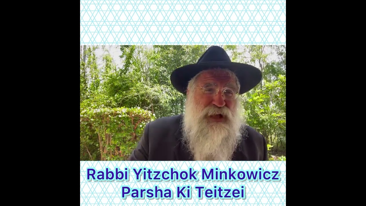 Artwork for podcast Weekly Torah Lesson by Rabbi Yitzchok Minkowicz