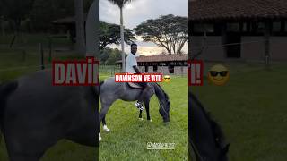 Davinson Sanchez At Üstünde