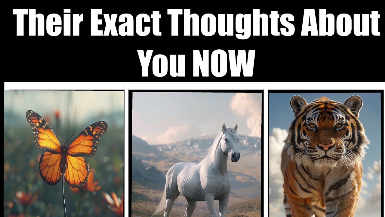 Their Exact Thoughts About You Now 🧿Pick A Card Timeless Psychic Reading