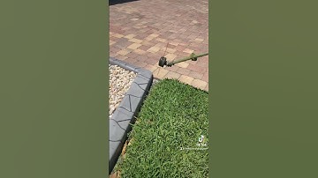 PAS-2620 edging #theblacksheeplawn #lawncare #lawnmaintenance