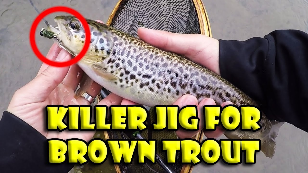 Fishing Brown Trout on my Jig Spinner (Effective Trout Lure) 