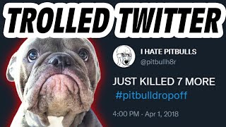 The 4chan Pitbull Massacre