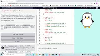 Tutorial 39 - using custom variable - free code camp (Explained)
