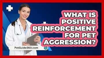 What Is Positive Reinforcement For Pet Aggression? - PetGuide360.com