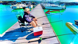 видео: Рыбачу на обед в доке… А ПОТОМ СЛУЧИЛОСЬ ЭТО!!!! (Поймай и приготовь) картинка: Рыбачу на обед в доке… А ПОТОМ СЛУЧИЛОСЬ ЭТО!!!! (Поймай и приготовь)