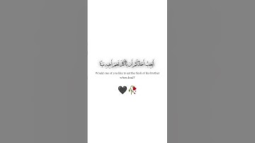 يا أيها الذين آمنوا اجتنبوا كثيرا من الظن✨سورة الحجرات✨أحمد خضر✨كروما قرآن خلفية بيضاءwhite ground 🤍