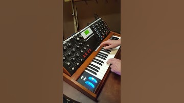 MinimMoog Demo 9/03/20