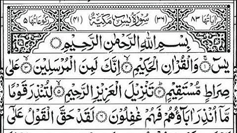 #قرآن #قران_كريم #سورة_يس #surahyaseen #surahyasin #quran 