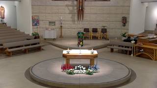 Daily Morning 8:00 AM Mass