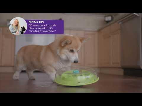 NIna Ottoson by Outward Hound — Wobble Bowl Slow Feeder & Dog Puzzle In One