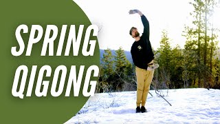 Qigong for Spring | Wood Element Qi Gong for Liver Meridian, Stress, Anger, Clarity, Digestion, Back