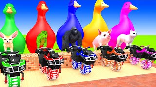 5 Giant Duck, Monkey, Piglet, chicken, dog, dinosaur, Sheep, Transfiguration funny animal 2024