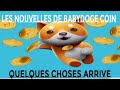 #BABYDOGE COIN #Achat massif de Binance #Autres nouvelles qui sont tombées.