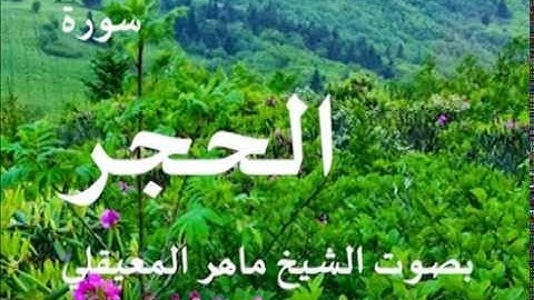 سورة الحجر بصوت الشيخ / ماهر المعيقلي 15
