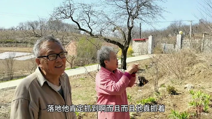 一天三頓野菜，干最累的活兒，兩個80歲老教授幫助我完成大工程 - 天天要聞