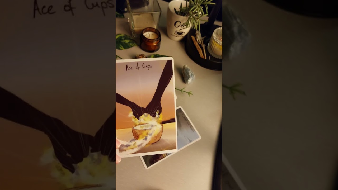 برج الجوزاء اتوجعت اوي لكن قويت جامد في حاجات جواك ماتت واشخاص مبقاش ليهم وجود انت مسامح ومش بتحقد 