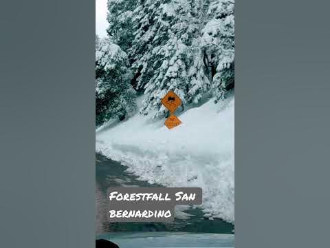 Forest falls San Bernardino - YouTube