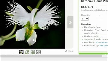 Data Scraping from www.etsy.com using WebHarvy