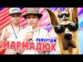 МАРМАДЮК | Премьера мультфильма | Репортаж 1 Станция