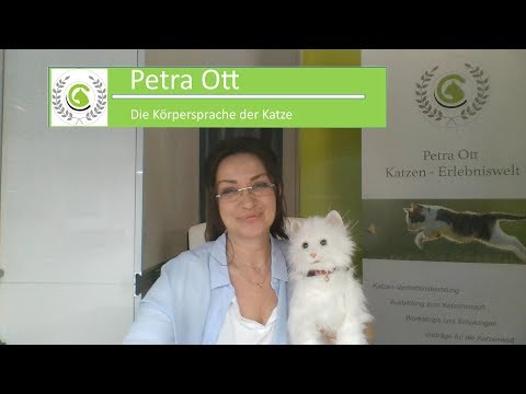 Katzensprache verstehen – Die Körpersprache der Katzen von Petra Ott