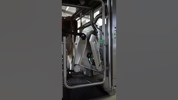 Smart Milking Robot: Turns Fresh Milk into Bottles Instantly 🚀