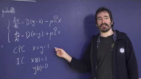 Principles of Biological Design & Mathematical Biomodeling - Examples 04: Prebiotic Evolution