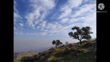 سورة الغاشية كاملة بصوت الشيخ ماهر المعيقلي❤️