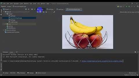 ObjectDetectionPytorch