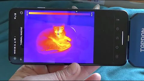 Topdon TC001 Thermal Camera Review