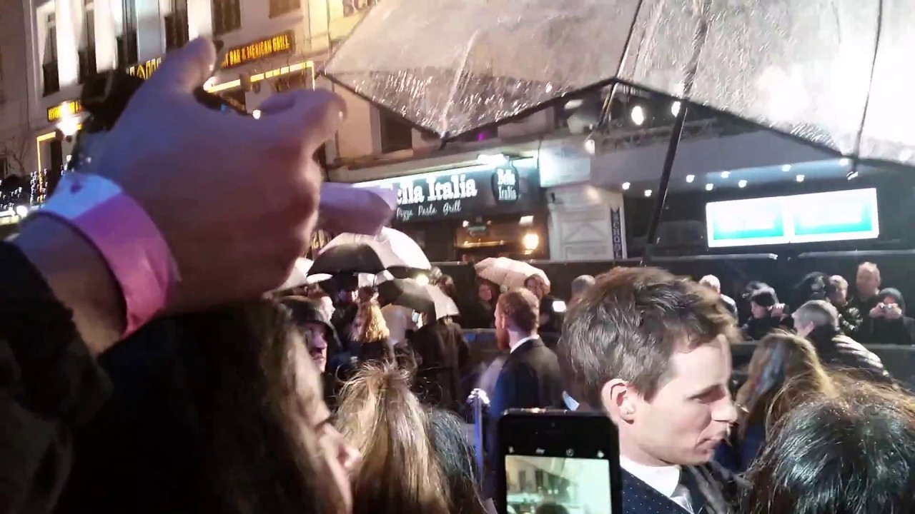 fantastic beasts leicester square