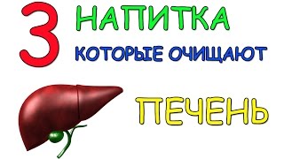 Как очистить печень? 3 напитка, которые очищают печень.