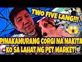 Pets and animals for sale in the philippines grotto pet market  rare dogs birds and cats vlog541