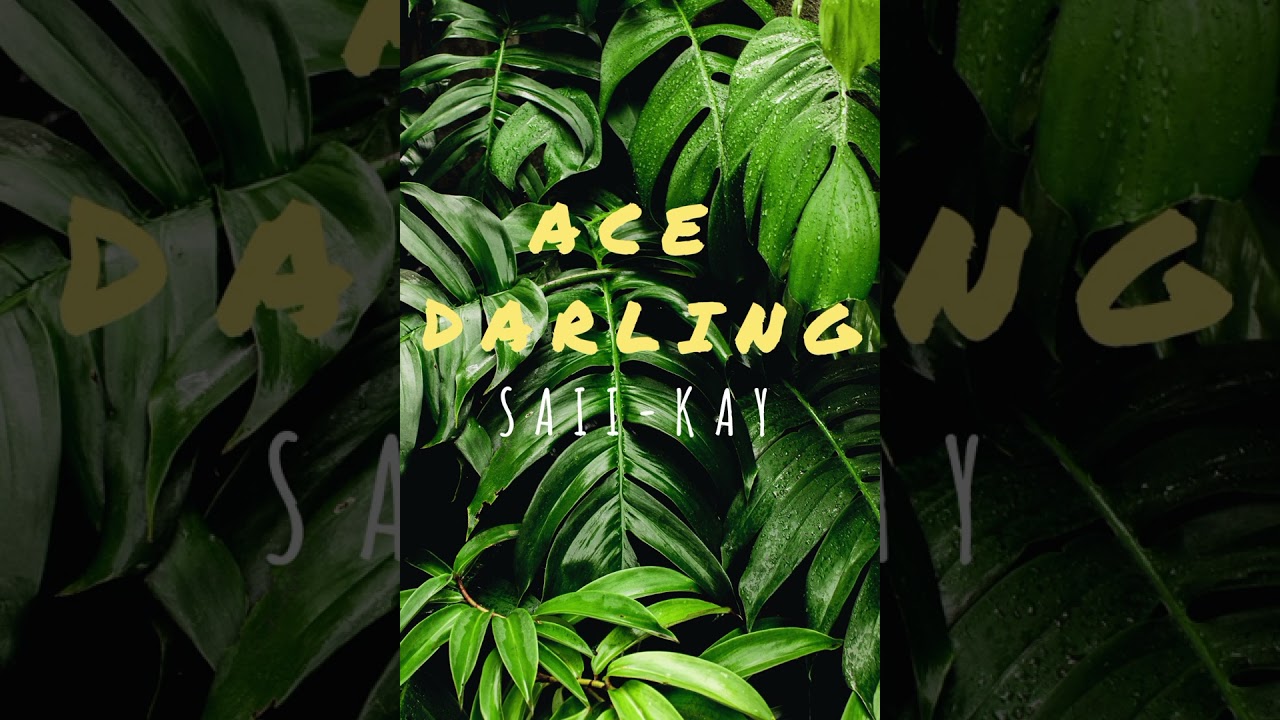 Ace Darling 2017   Saii Kay 