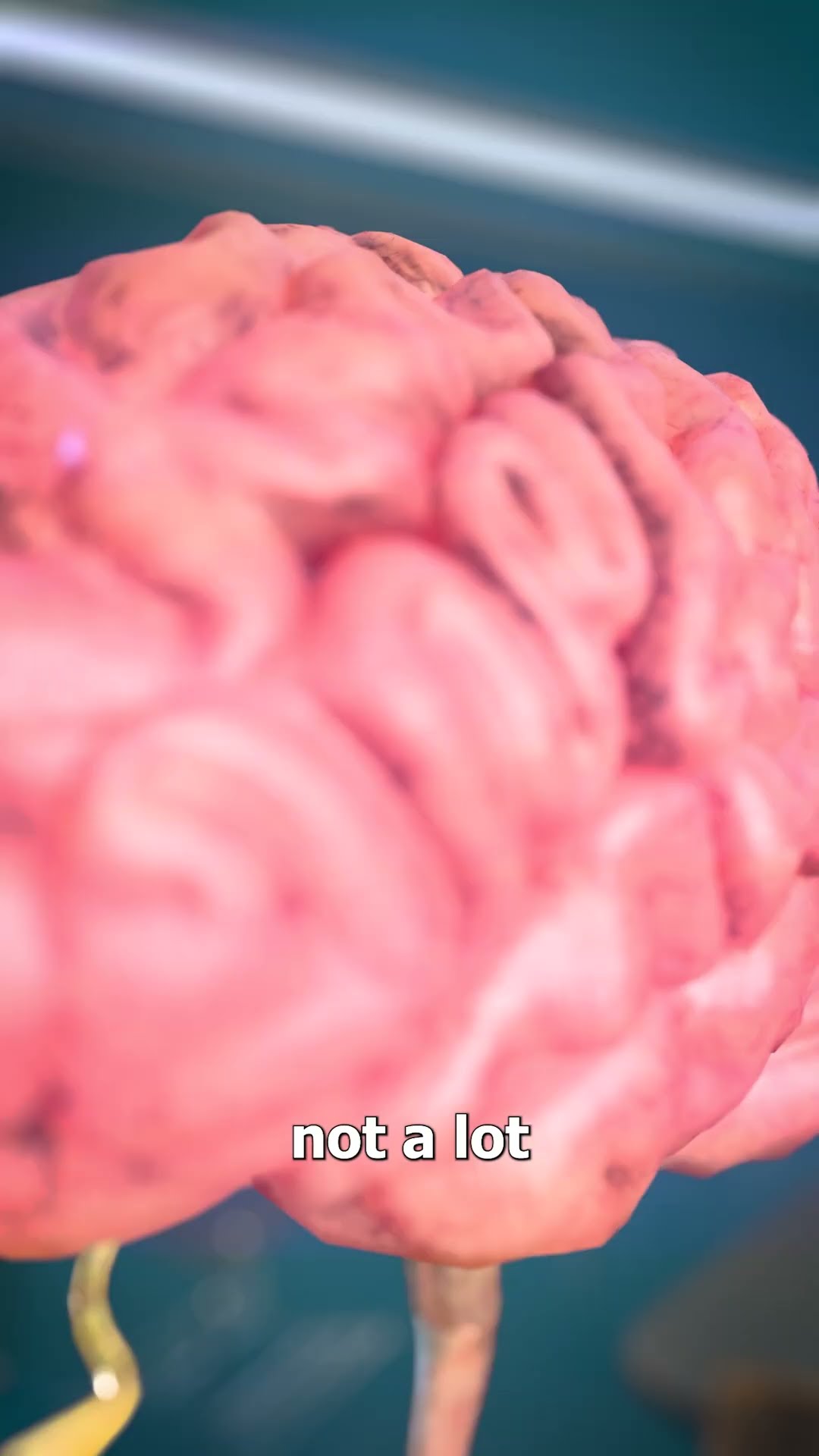 Your Brain Generates Electricity ?