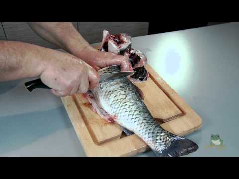 Wideo: Jak Gotować Ryby Amur?