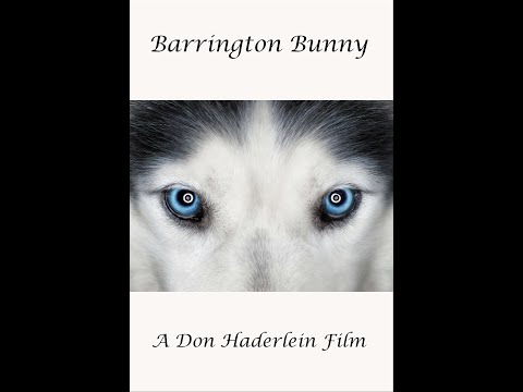Barrington Bunny A Classic Christmas Story