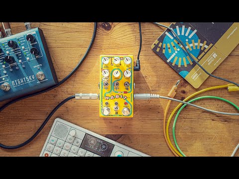 This Is Already My Favorite Ambient Pedal : Chase Bliss Habit