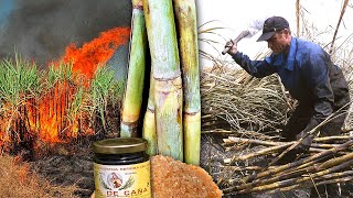 Sugar and cane honey from the dangerous (and controlled) burning of cane fields