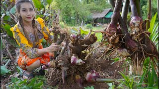 Dig Arrowroot cook and eat recipe in my countryside - Polin lifestyle