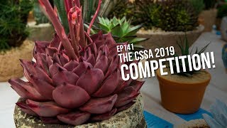 #141 The Cactus and Succulent Society of Australia 2019 Competition