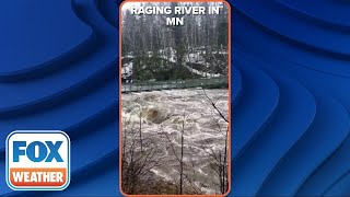Raging River Comes Close to Bridge Outside of Duluth, Minnesota