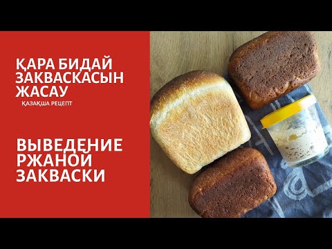 Қара бидай закваскасын шығару/ Выведение ржаной закваски