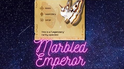 The Return Of Marbled Emperor-Flutter Starlight Part 11