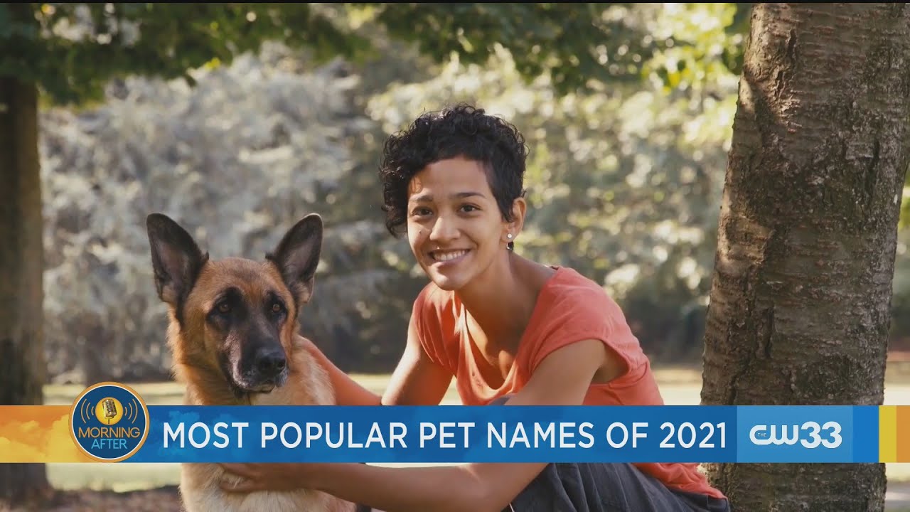 Most popular pet names of 2021 revealed YouTube