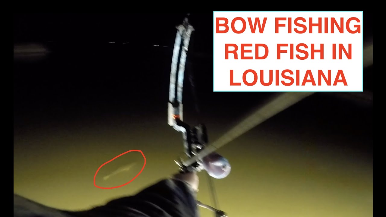 BOW FISHING RED FISH IN THE LOUISIANA BAYOU WITH BOWFISHING UNLIMITED! 