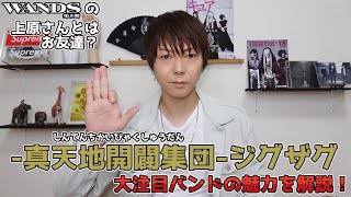 オトイロハ　てるてるちゃん　真天地開闢集団ジグザグ　WANDS 新品 オトイロハ てるてるちゃん 初回限定盤 真天地開闢集団