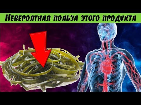 Включите этот продукт в свой ежедневный рацион питания и недуги обойдут вас стороной Секрет здоровья