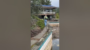 6 month abandoned home update..