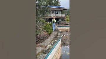 6 month abandoned home update..